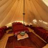 Orange Tent - In Our Garden