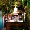 Les Chambres de Paulette à Theme LA JUNGLE ROOM