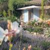 Mas Tulipe de Soie