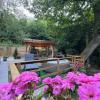 Apartment with a terrace Forest Home Lullula