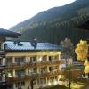 Bear Hutte Saalbach near Billa