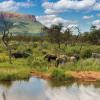 Marakele National Park, Hartbeestfontein, 2194, South Africa.