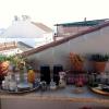 Casa Amapola