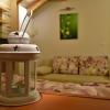 Villa Natural Wood