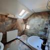 Shelby Accommodation -Adult Only-