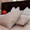 Hotel Metropol