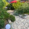 Apartman Anton