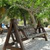 Plaka Beach, Naxos 843 00, Greece.