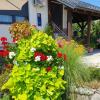 Guesthouse Vila