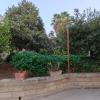 B&B Giunone