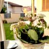 Rosa's House - zona ospedaliera
