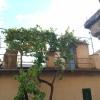 La vecchia vite casa vacanze