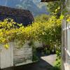 Guesthouse Ilisu