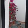 Casa Mocan