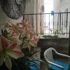 Marias Studios
