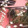 Lovely Cat's Room Urrunaga