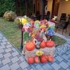 Rooms Korina