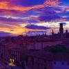 Tudela y Bardenas a tus pies