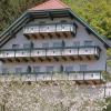 Gasthof-Pension Ölberger