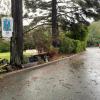 Mermaids Muse Bed and Breakfast