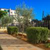 Apartments Srdarev Pencov
