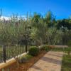 Apartments Srdarev Pencov
