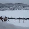 DOM HILLS Bucovina