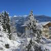 Neurauthof