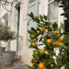 Le clos jargot