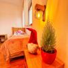 Apartamenty u Petuski