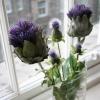 Royal Mile Budget Apartments