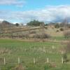 Apartamentos Rio Almar