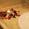 Hostal Albero by eme hoteles