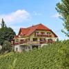 Farm Stay Jarc Vineyard