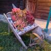 Rural haushold Konak Vukovica kolibe