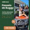 O Pimpao