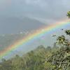 Matthew's Miracle View