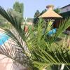 Le gite de lOlivier en Provence