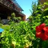 Hostal Playa Mazagon (El Remo)