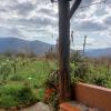 Cortijo El Cerrillo