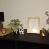 Apartman Roko