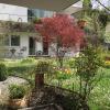 Innsbruck Apartment Nigler