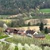 Gästehaus - Camping- Weinhof Radl