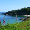 La Breizh'îlienne