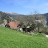 Ferienwohnungen am Berghof
