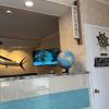 Hole Inn the Wall Hotel - Fort Walton Beach - Sunset Plaza - nearby Beaches & Hurlburt