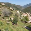 Résidence E CIME ASCO Locations de studios meublés