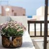 Antonia's House - Old town