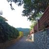 Il Glicine cozy appartamnent, near Sestri Levante between Cinque terre e Portofino