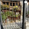 Nido damore a Terracina